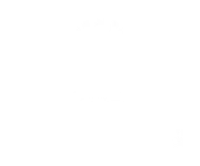 libertadores-img